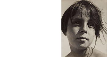 Auction  1246 - Photography