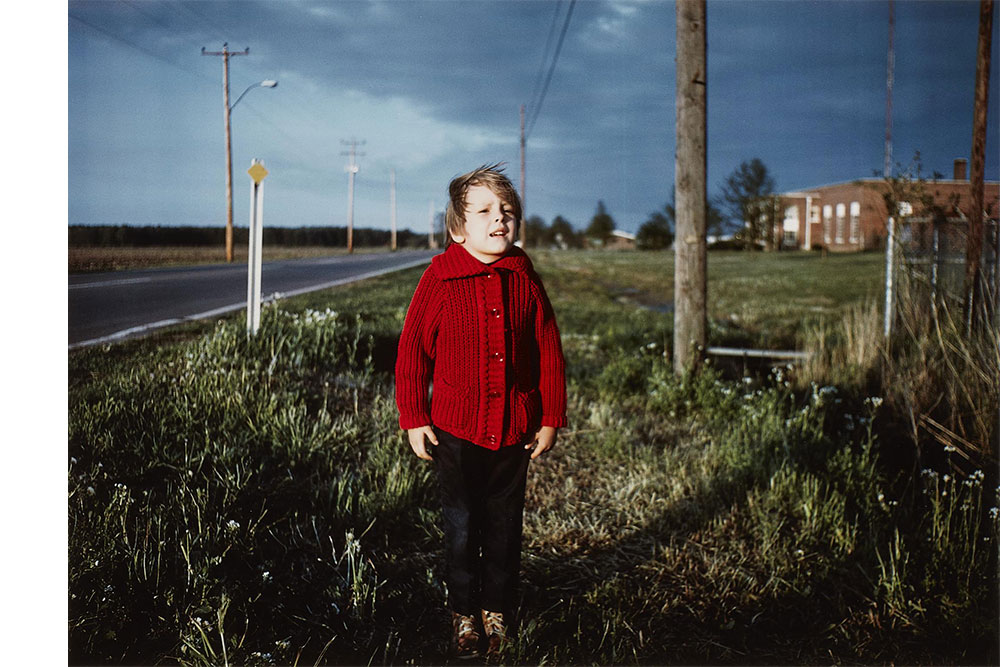 Auction 1255 Photography - Post-Auction Report