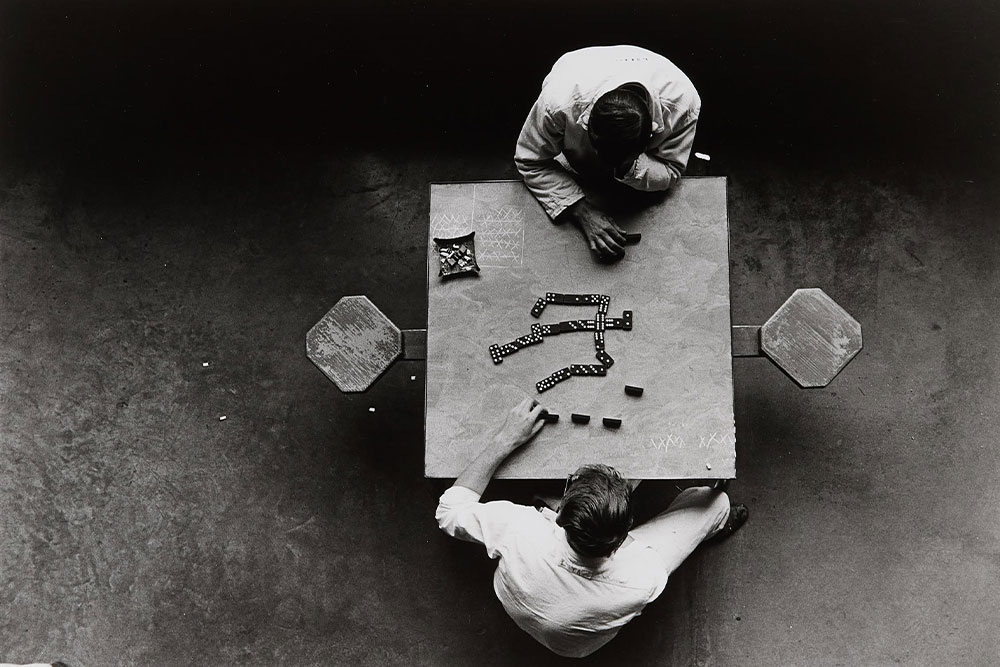 Spring Auction Photography