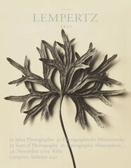 Auction Catalogue 1142 Photography, 30 Years of Photography at Lempertz - 30 Photographic Masterpieces Auction Catalogue 1142 Photography, 30 Years of Photography at Lempertz - 30 Photographic Masterpieces