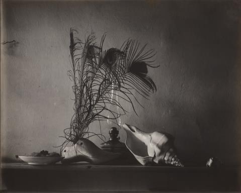 
    
            
                    Josef Sudek - Still life after Caravaggio, Ivancice
                
        
